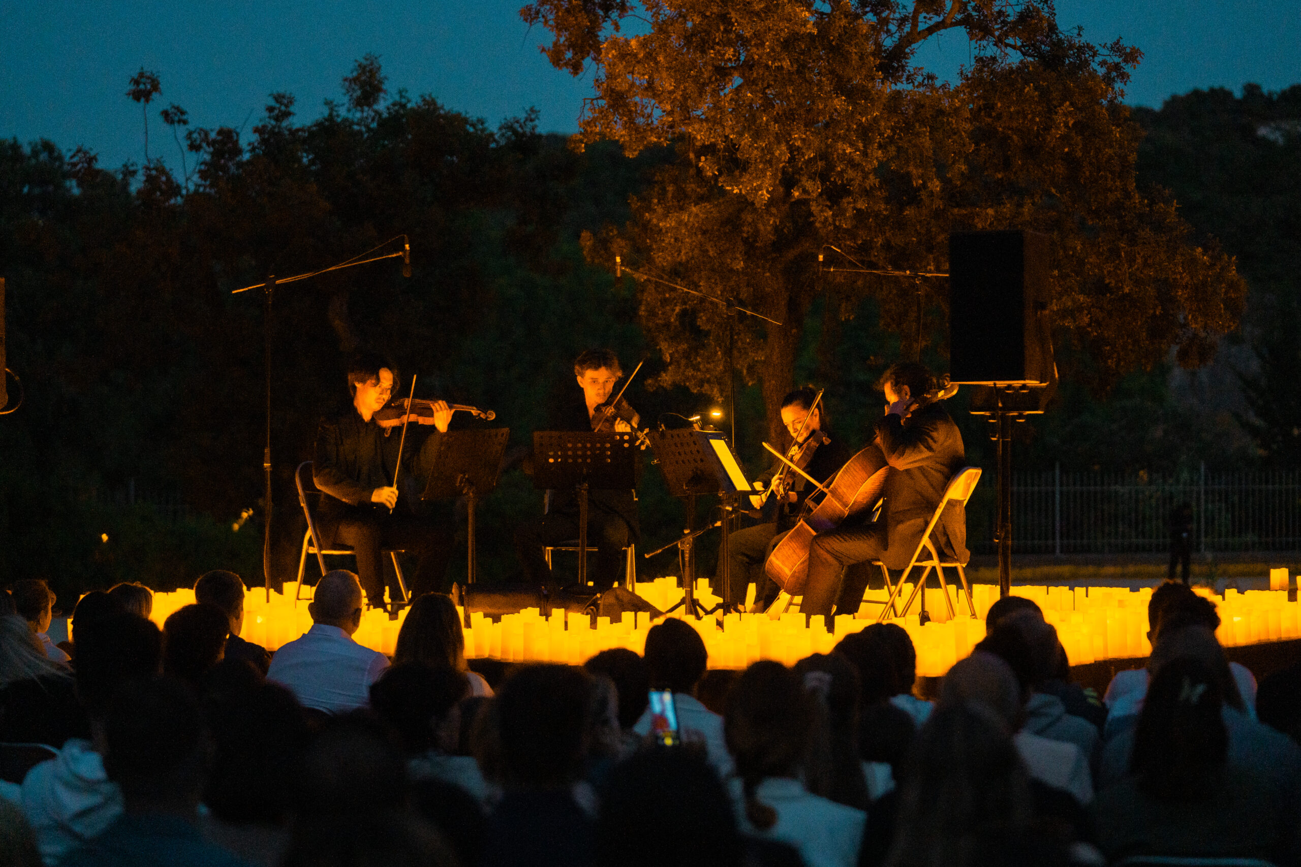Pont du Gard - 16 juin 2024 (© Fever)