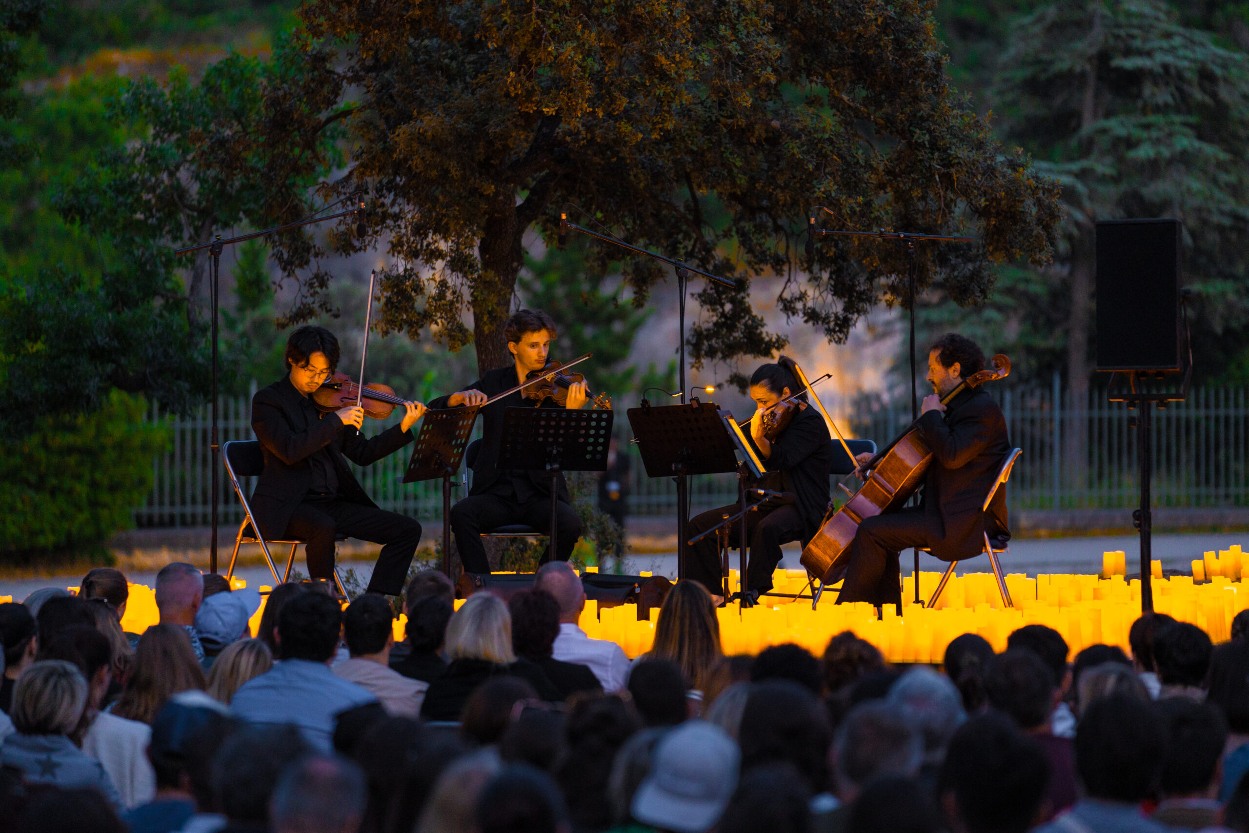 Pont du Gard - 16 juin 2024 (© Fever)