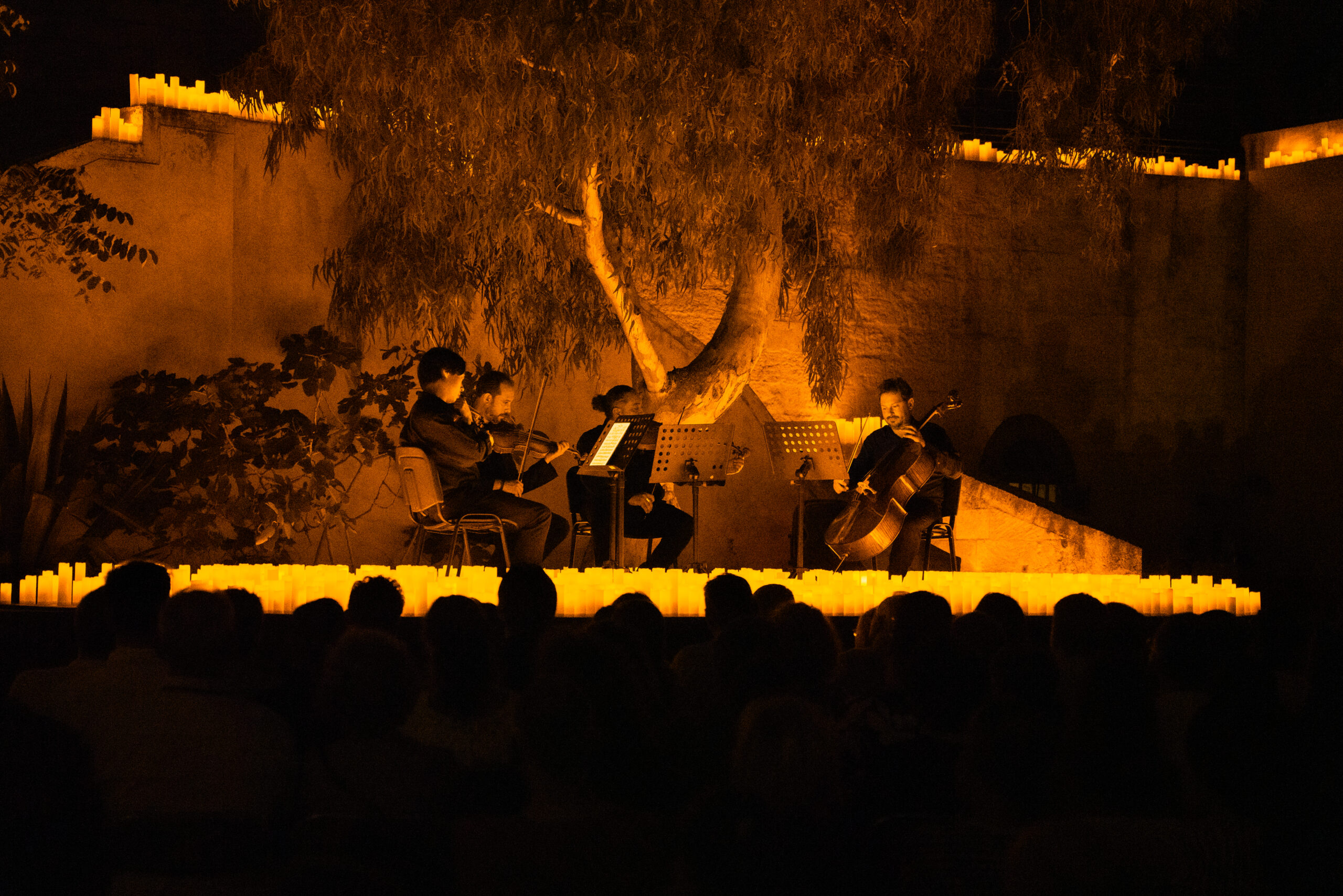 La Citadelle de Marseille - 28 juin 2024 (© Fever)