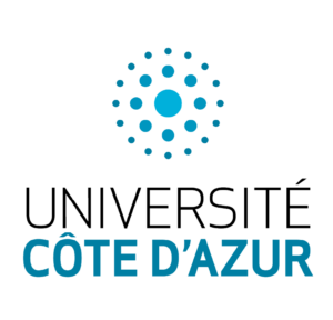 Plan de travail 4 copie